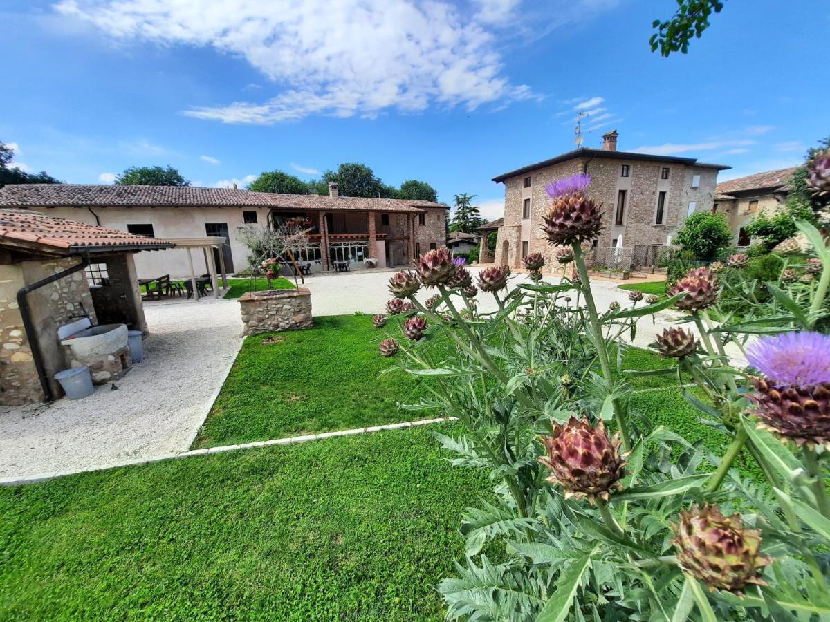 Corte Davini Agriturismo 蒙赞巴诺 外观 照片