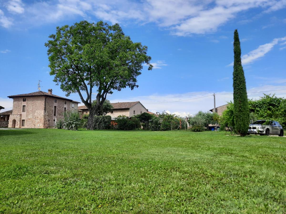 Corte Davini Agriturismo 蒙赞巴诺 外观 照片