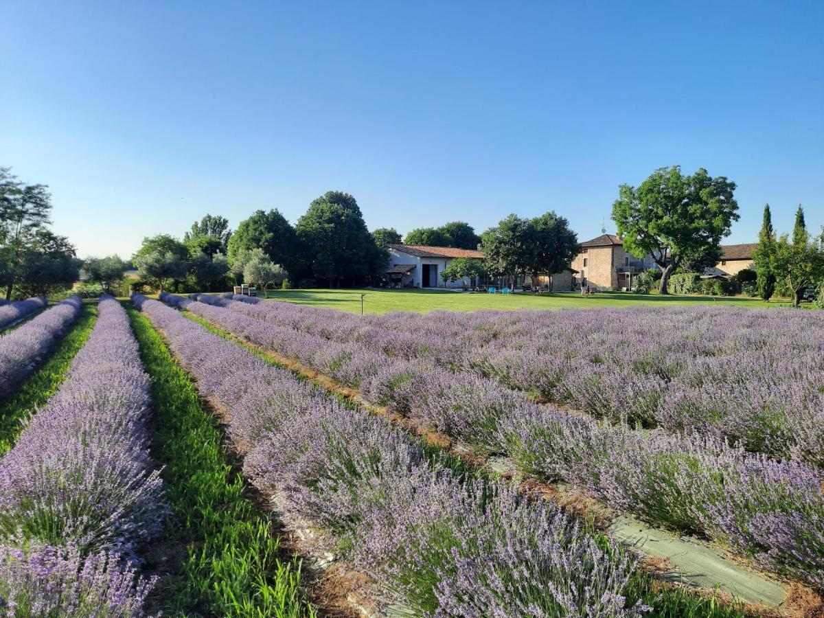Corte Davini Agriturismo 蒙赞巴诺 外观 照片