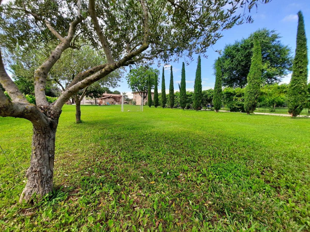 Corte Davini Agriturismo 蒙赞巴诺 外观 照片