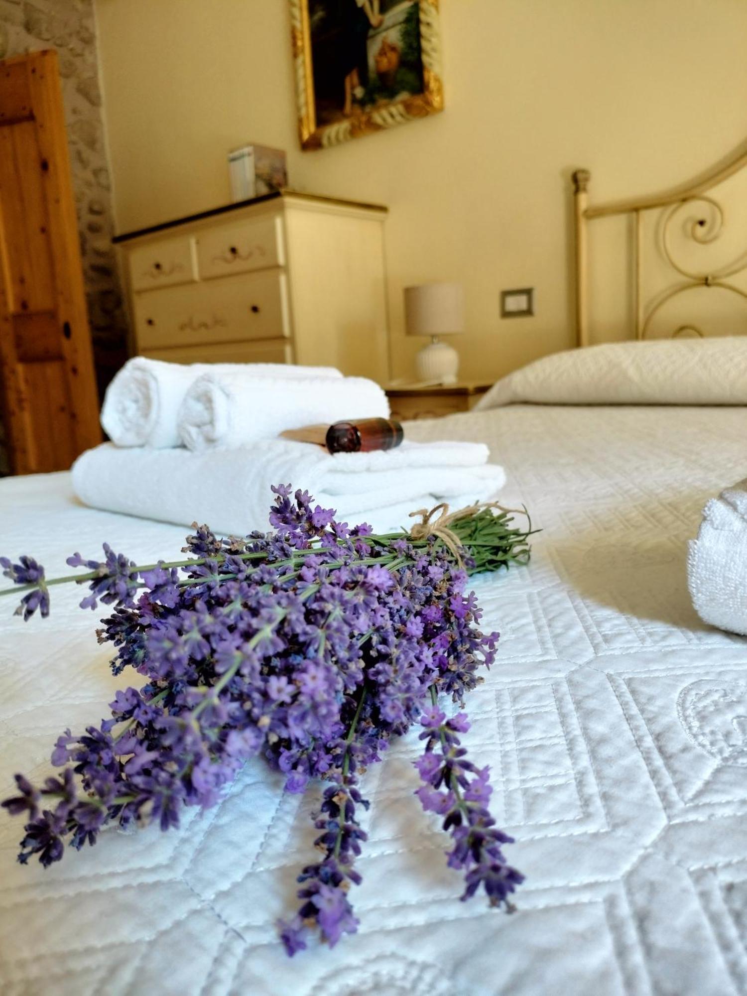 Corte Davini Agriturismo 蒙赞巴诺 外观 照片