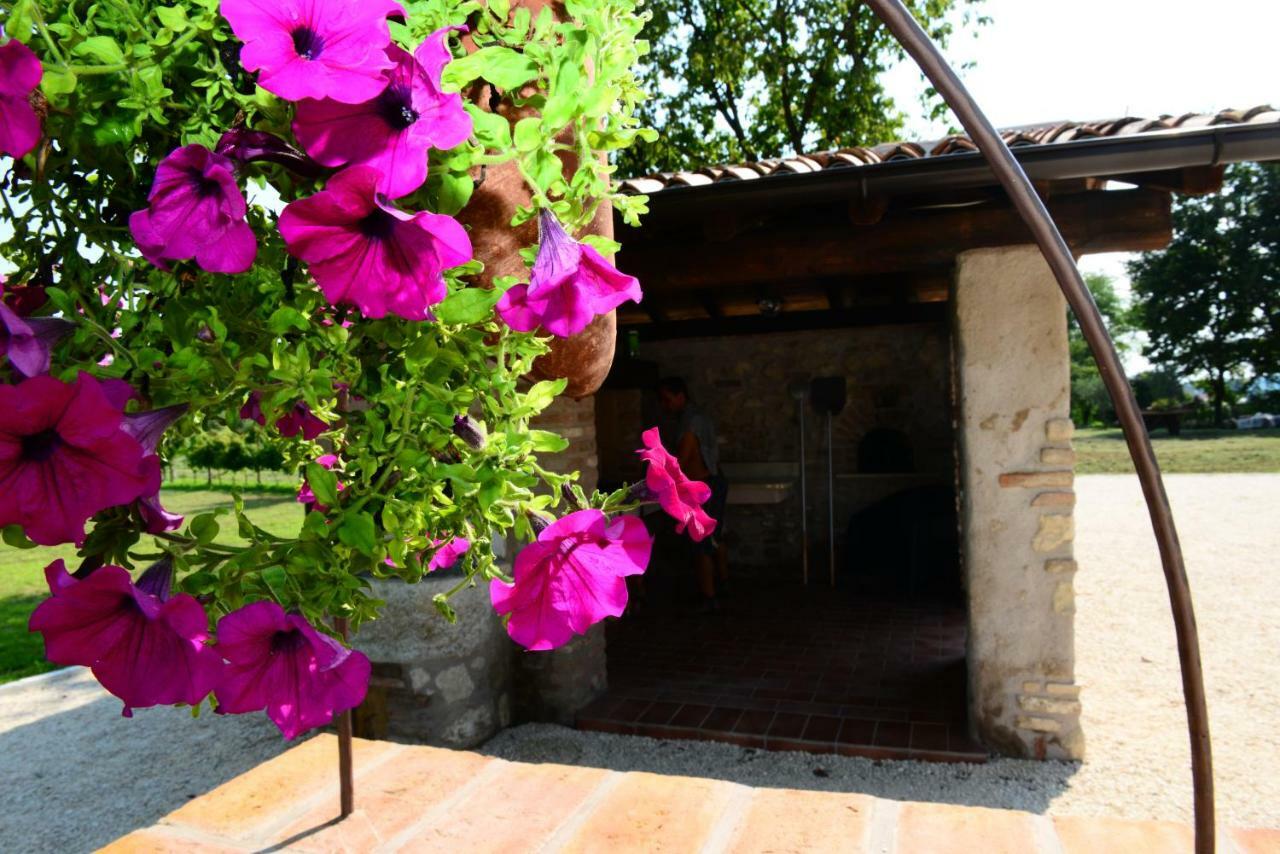 Corte Davini Agriturismo 蒙赞巴诺 外观 照片