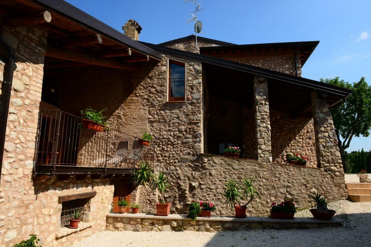 Corte Davini Agriturismo 蒙赞巴诺 外观 照片